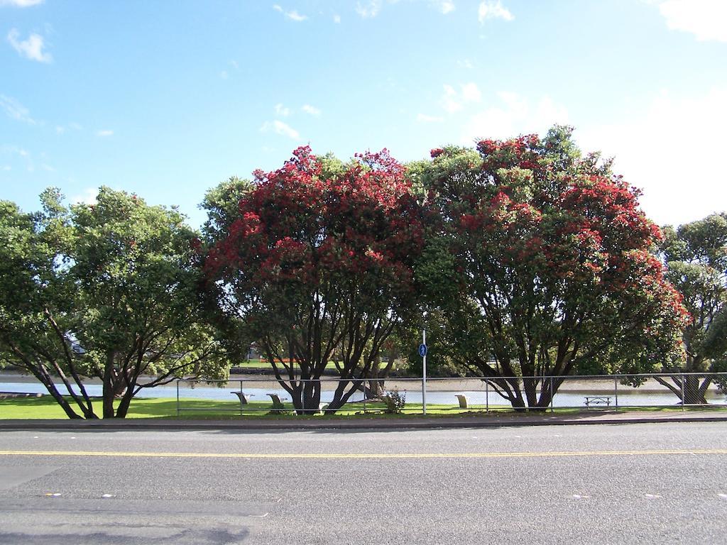 Kauri Nest Bed & Breakfast Whangarei Exterior foto