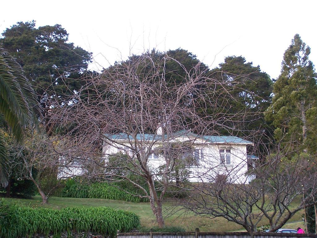 Kauri Nest Bed & Breakfast Whangarei Exterior foto