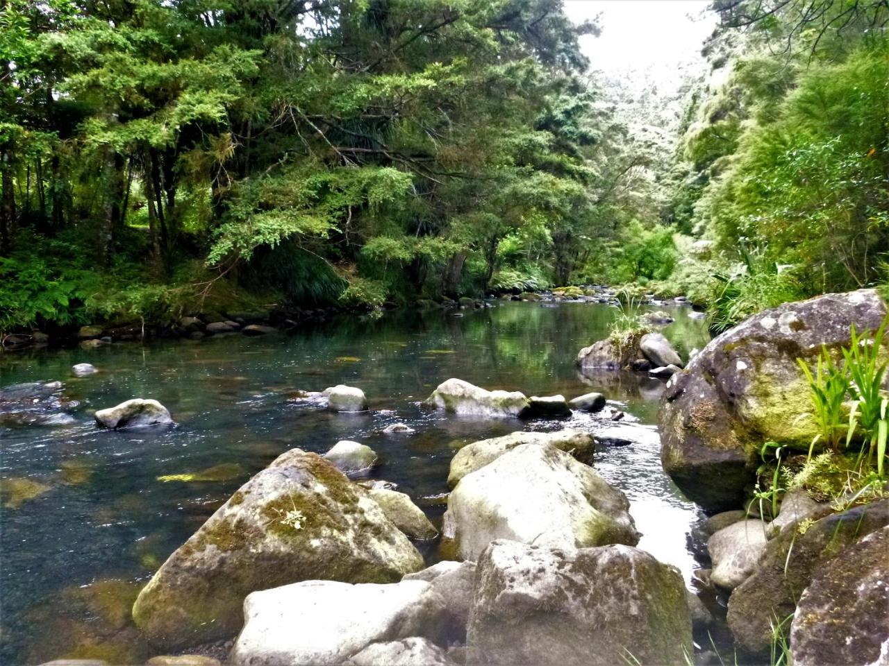 Kauri Nest Bed & Breakfast Whangarei Exterior foto
