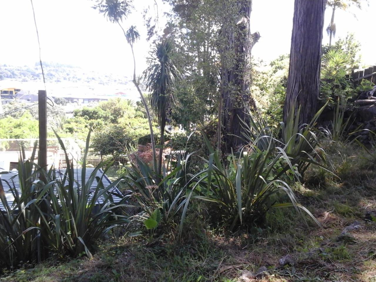 Kauri Nest Bed & Breakfast Whangarei Exterior foto